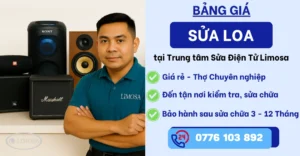 Bảng giá sửa loa tại Sửa Điện Tử Limosa
