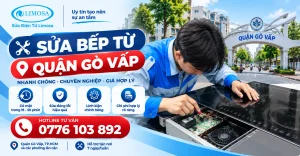 Sửa bếp từ quận Gò Vấp tại Sửa Điện Tử Limosa