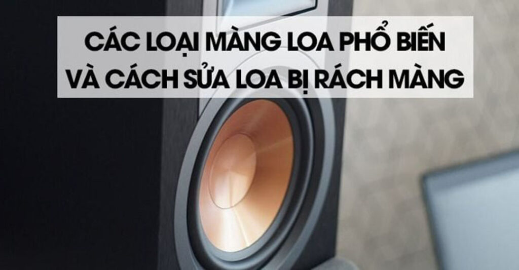 Các loại màng loa phổ biến trên thị trường