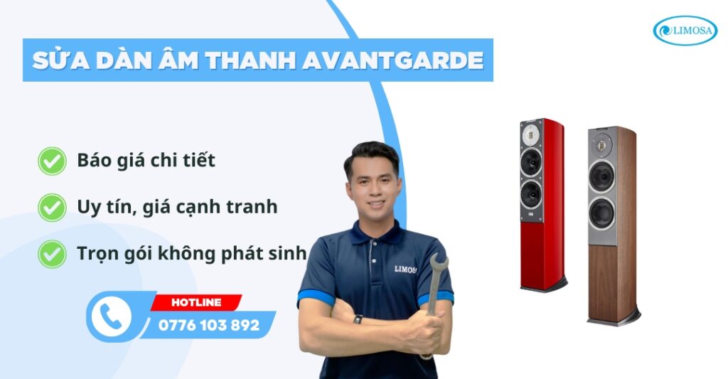 sửa dàn âm thanh Avantgarde