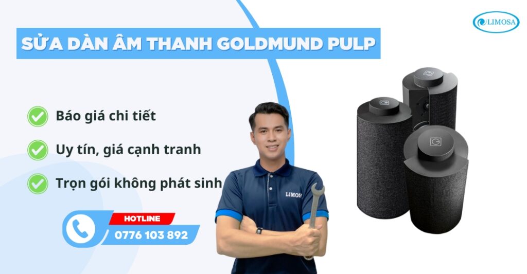 sửa dàn âm thanh Goldmund Pulp