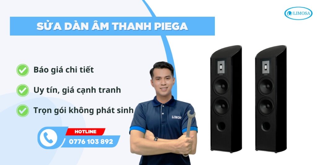 sửa dàn âm thanh Piega