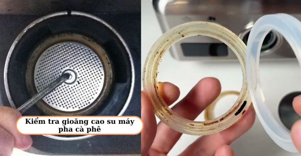 Kiểm tra gioăng cao su máy pha cà phê
