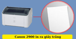 Canon 2900 in ra giấy trắng