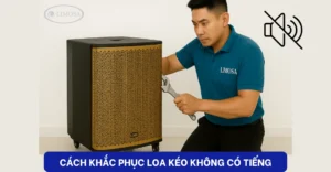 Cách khắc phục loa kéo không có tiếng