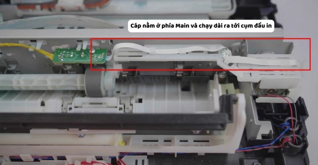 Cáp nằm ở phía Main và chạy dài ra tới cụm đầu in