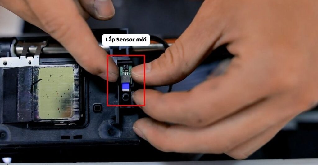 Lắp Sensor mới