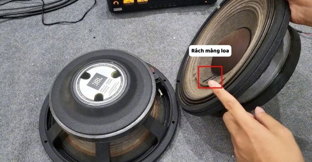 Loa bị hư hỏng (Rách màng, Nam châm lệch)