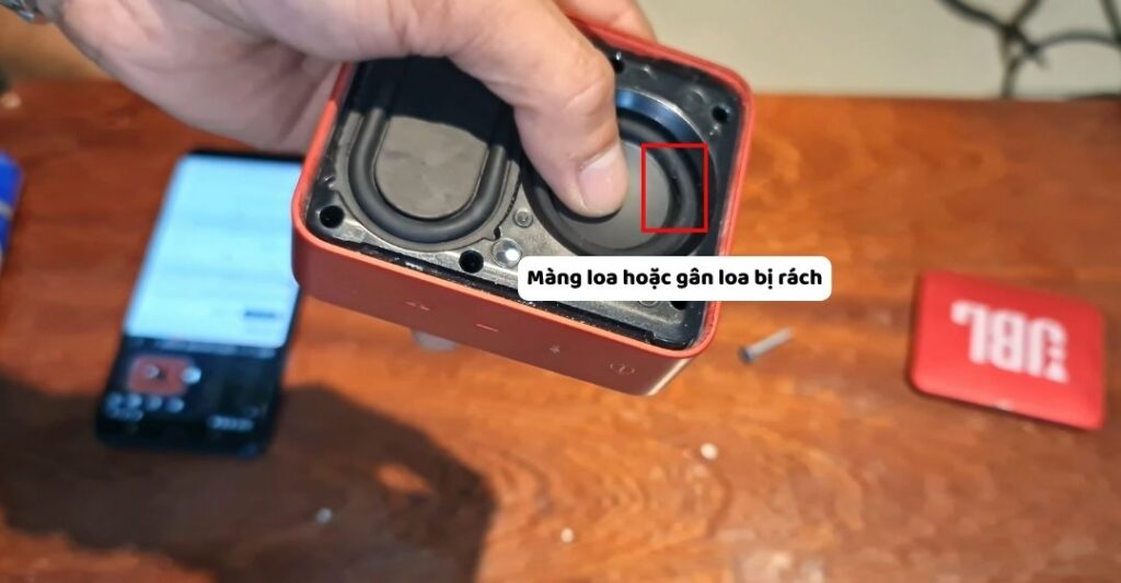 Màng loa hoặc gân loa bị rách
