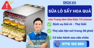 Sửa lò sấy hoa quả tại Sửa Điện Tử Limosa
