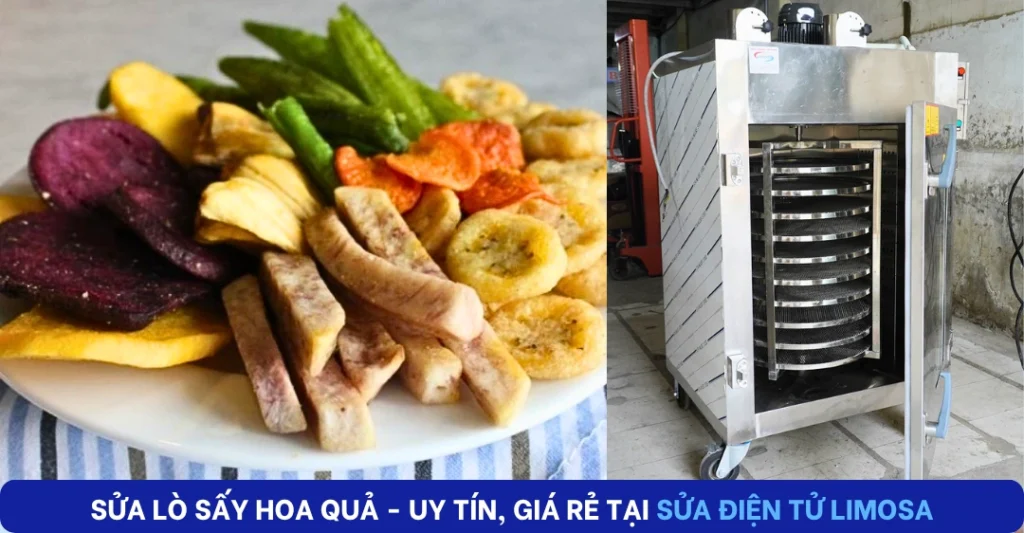 Sửa lò sấy hoa quả giá rẻ, uy tín tại Sửa Điện Tử Limosa