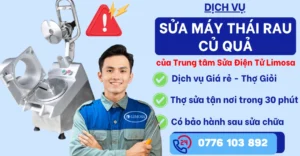 Sửa máy thái rau củ quả tại Sửa Điện Tử Limosa