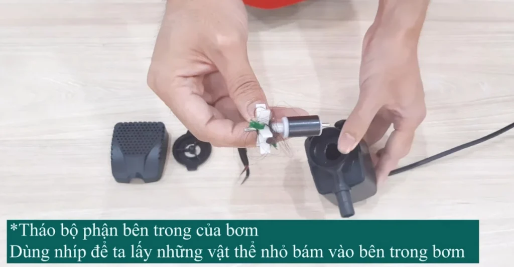 Vệ sinh bơm và loại bỏ vật cản