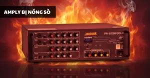 amply bị nóng sò