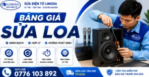 Bảng giá sửa loa tại Sửa Điện Tử Limosa