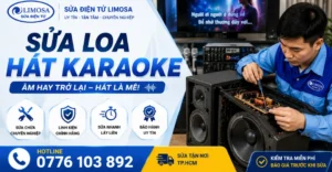 Sửa loa Karaoke tại Sửa Điện Tử Limosa