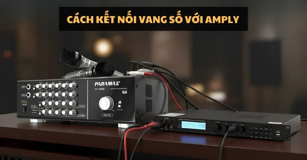 cách kết nối vang số với amply