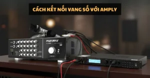 cách kết nối vang số với amply
