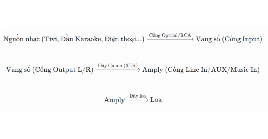 Sơ đồ kết nối vang số với amply chuẩn kỹ thuật