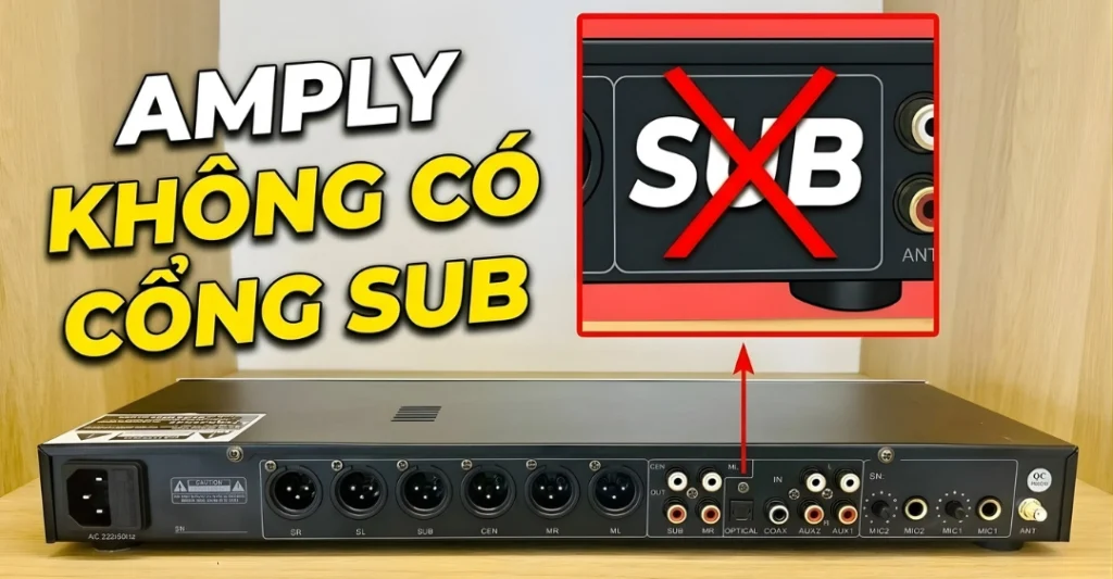 amply không có cổng Sub