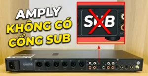 amply không có cổng Sub