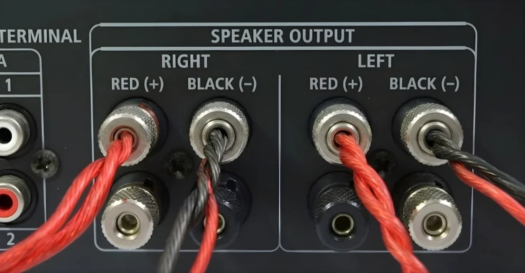 Bạn xoắn chung đầu dây loa chính và dây dẫn xuống sub vào cùng một cọc