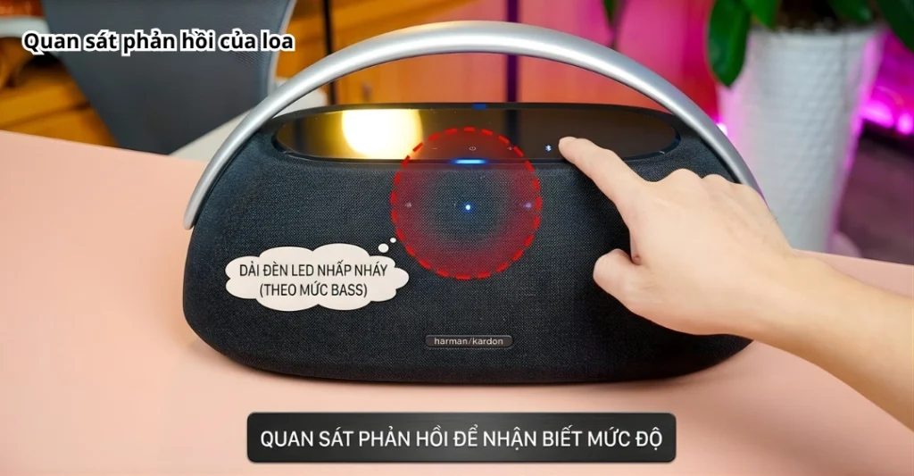 Quan sát phản hồi của loa