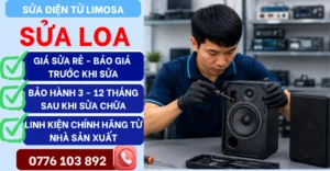 Sửa loa tại Sửa Điện Tử Limosa