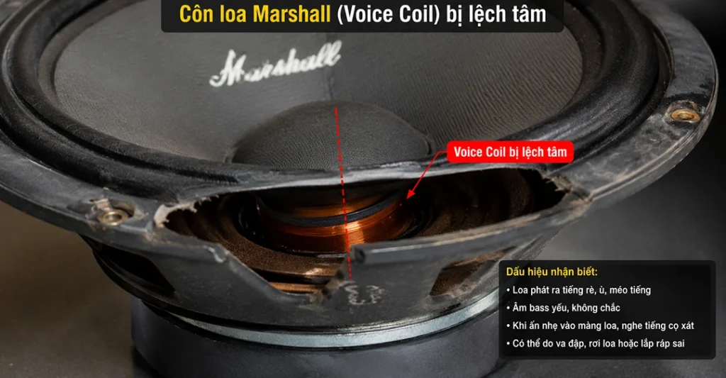 Côn loa (Voice Coil) bị lệch tâm
