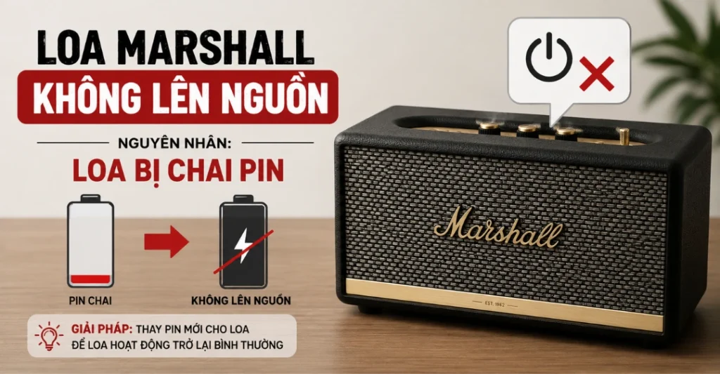 Loa bị chai pin hoàn toàn