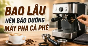 bao lâu nên bảo dưỡng máy pha cà phê