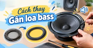 cách thay gân loa bass